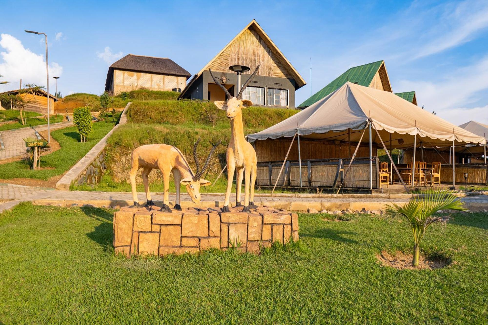 Nyungwe Nziza Ecolodge Kitabi Exteriör bild