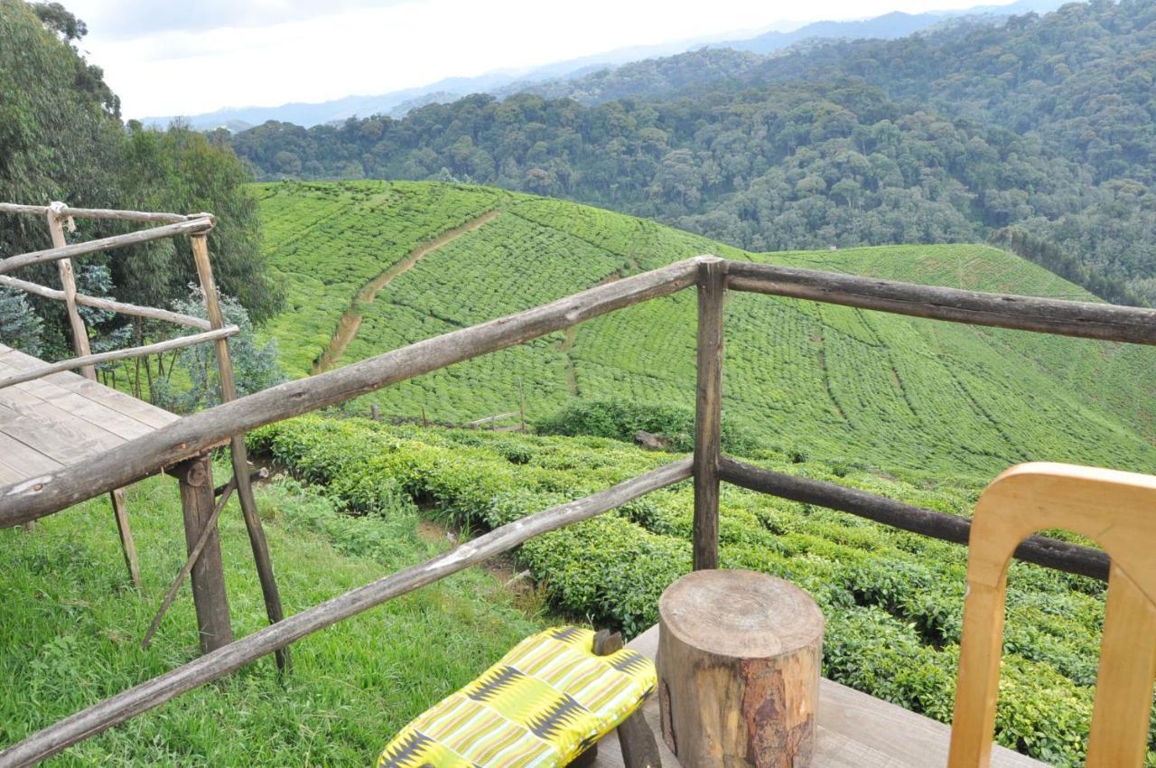 Nyungwe Nziza Ecolodge Kitabi Exteriör bild