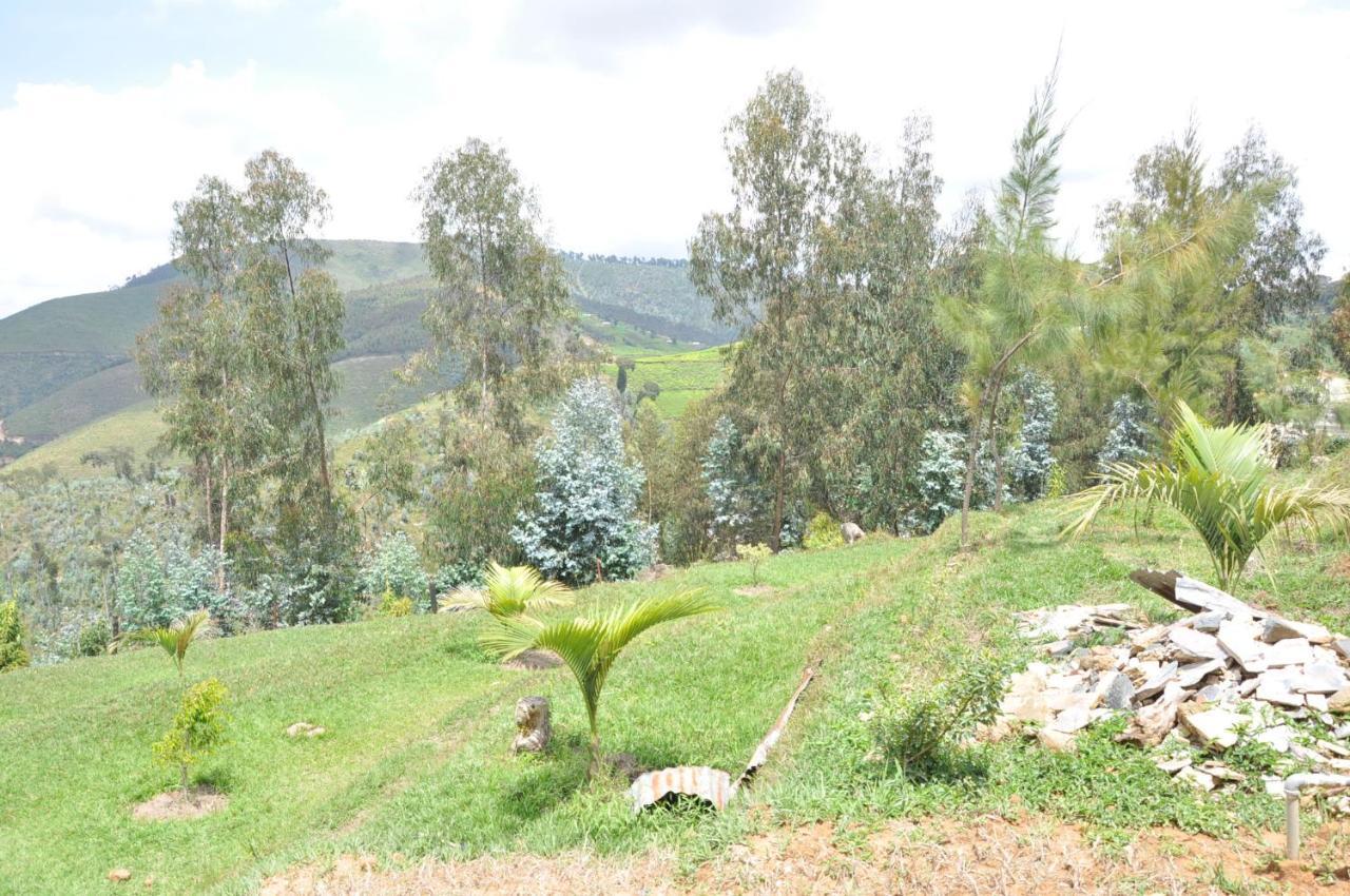 Nyungwe Nziza Ecolodge Kitabi Exteriör bild