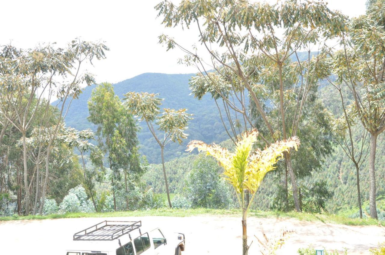 Nyungwe Nziza Ecolodge Kitabi Exteriör bild