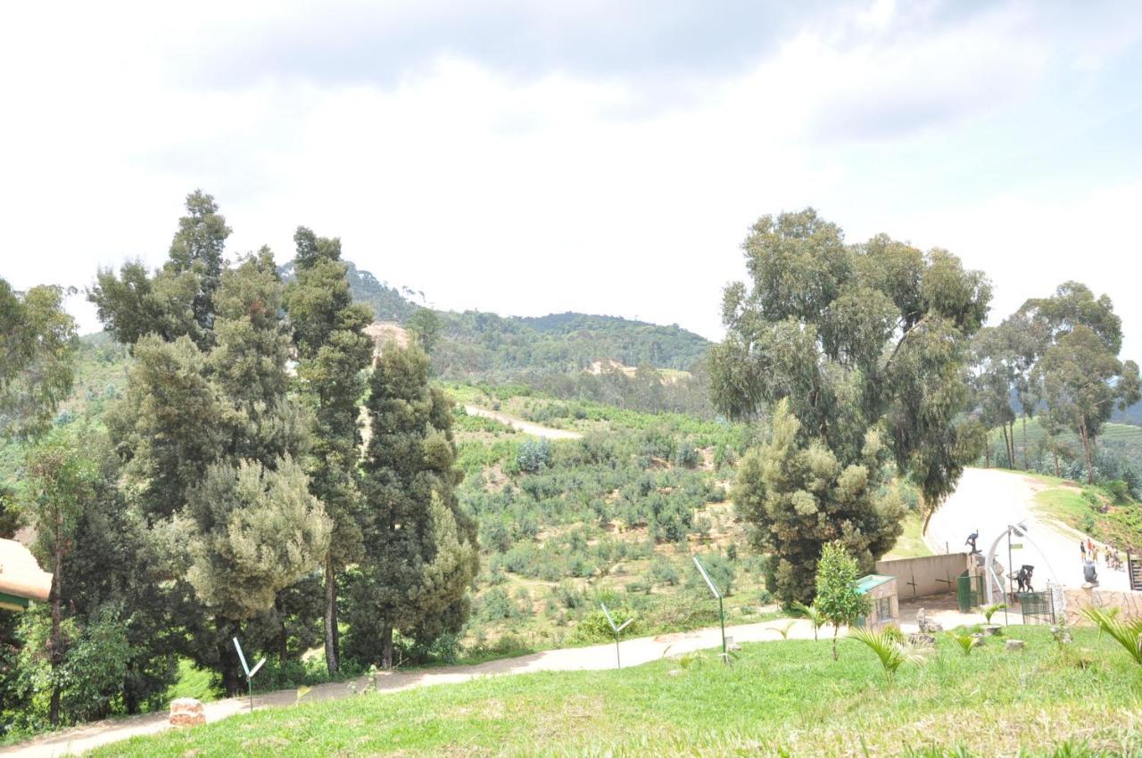 Nyungwe Nziza Ecolodge Kitabi Exteriör bild