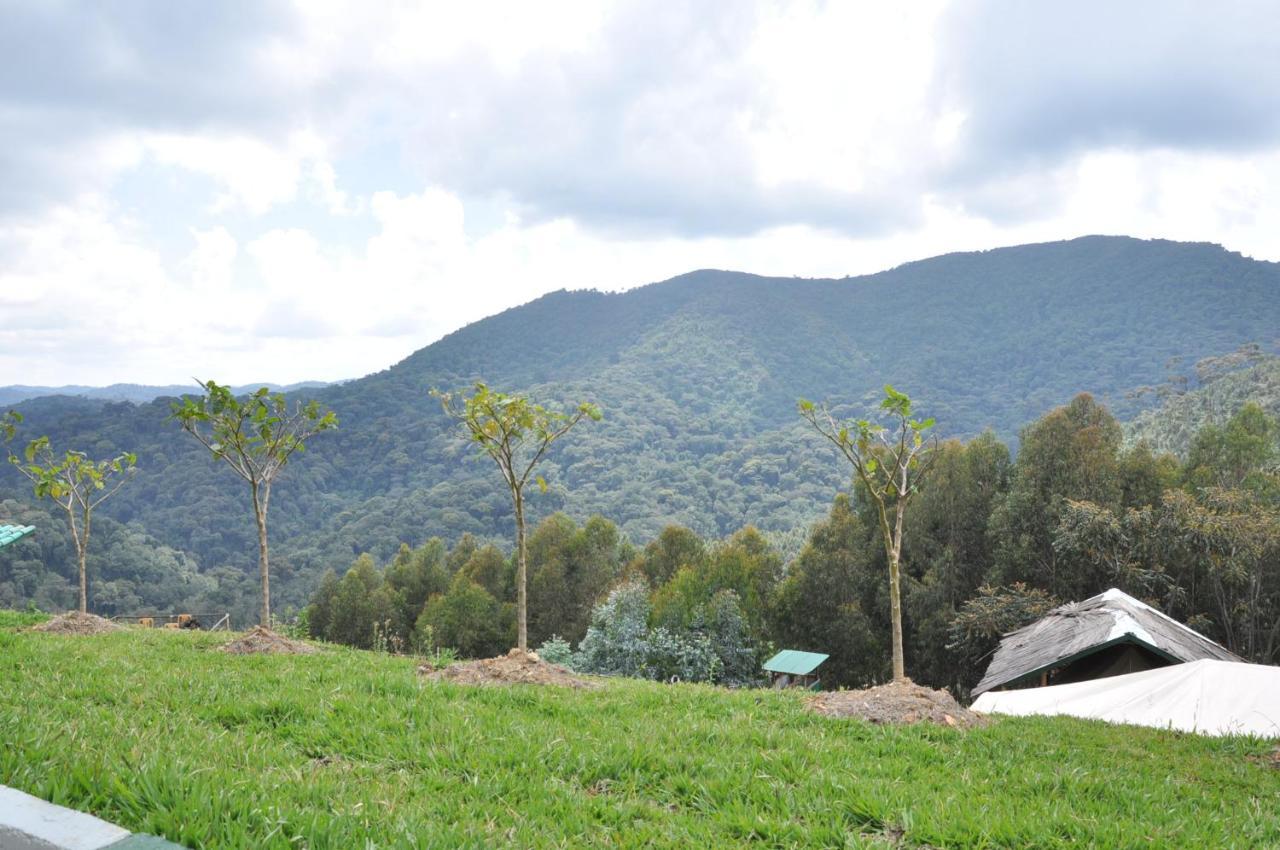 Nyungwe Nziza Ecolodge Kitabi Exteriör bild