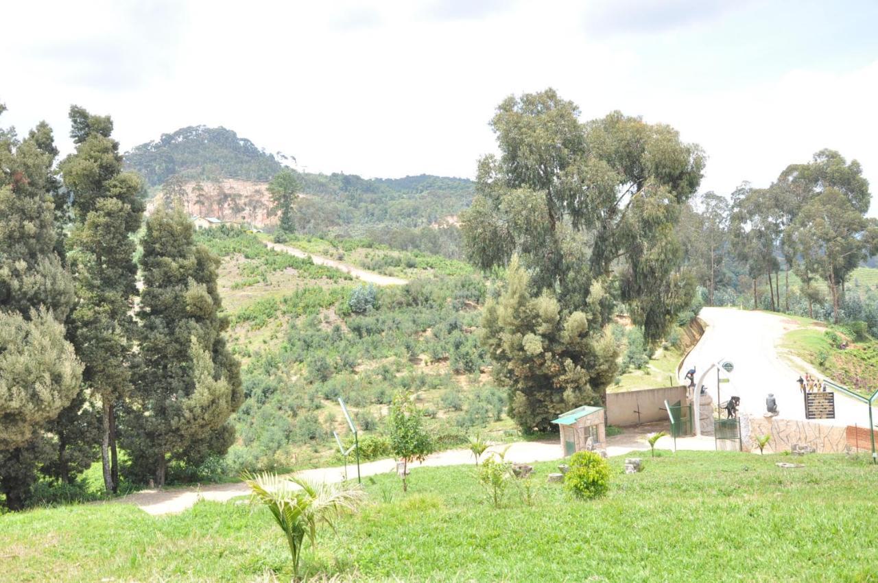 Nyungwe Nziza Ecolodge Kitabi Exteriör bild