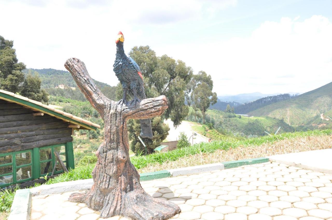 Nyungwe Nziza Ecolodge Kitabi Exteriör bild